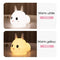 Silly Rabbit Silicone Night Light - Gulf Trend