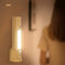 Torch Induction Lamp - Gulf Trend