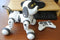 Intelligent Remote Control Robot Dog - Gulf Trend